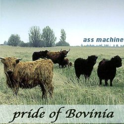Ass Machine - pride of Bovinia