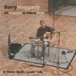 Barry Haggarty - If These Walls Could Talk