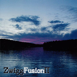 Robert Zwicker - Zwigg Fusion II